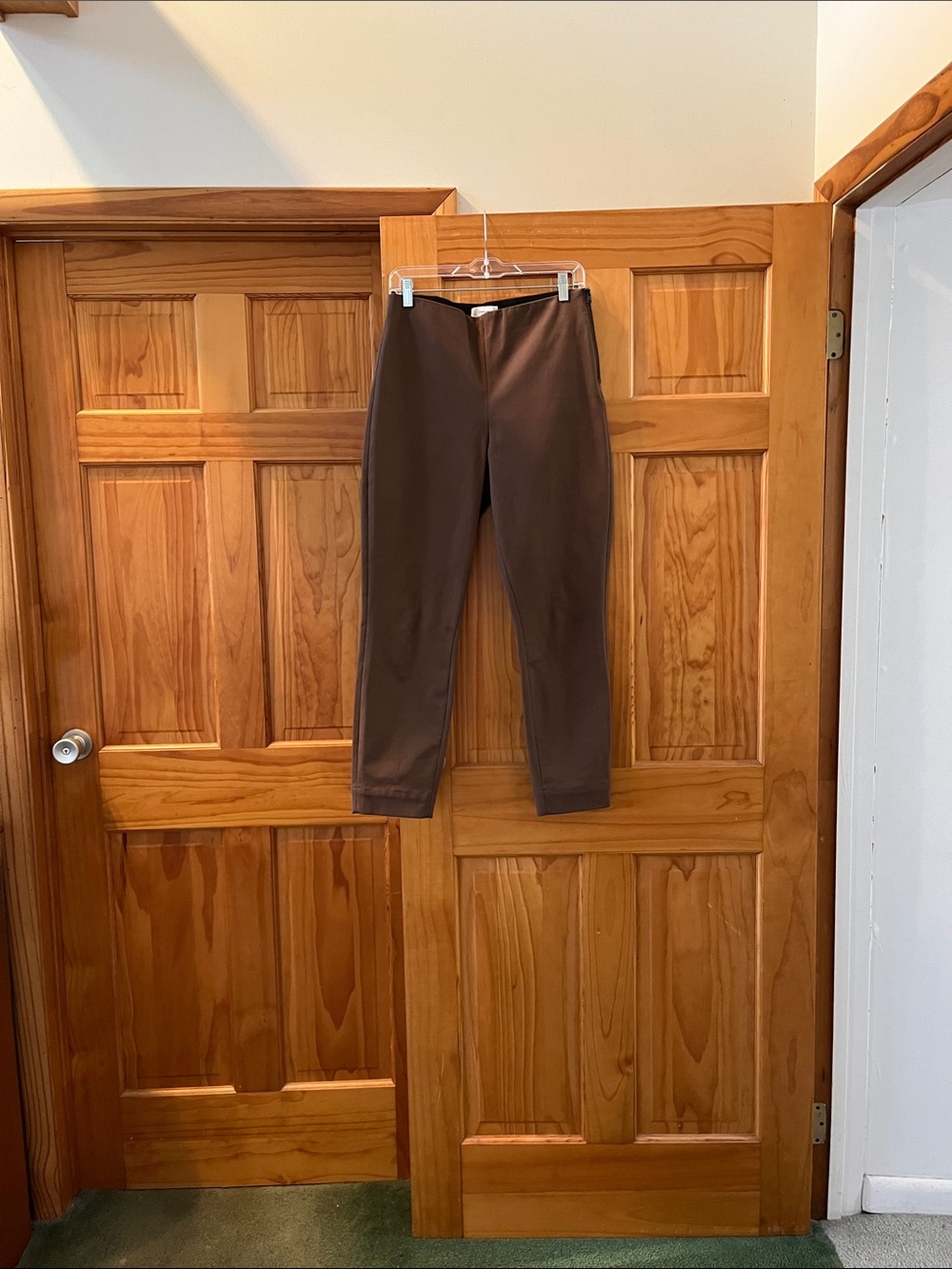 Everlane bi-stretch Pants